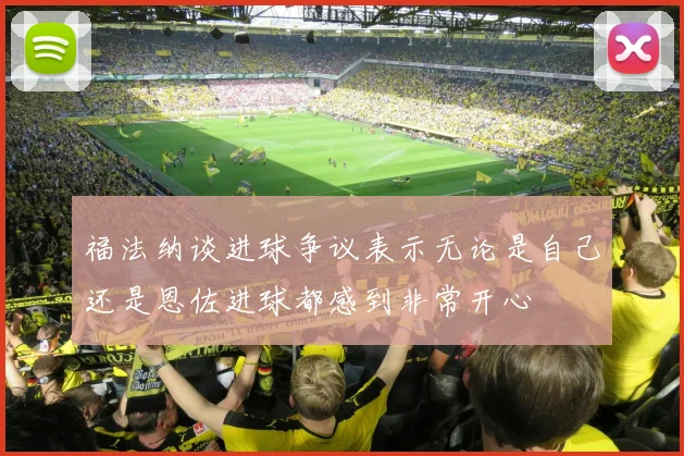 福法纳谈进球争议表示无论是自己还是恩佐进球都感到非常开心