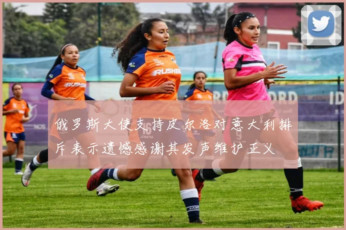 俄罗斯大使支持皮尔洛对意大利排斥表示遗憾感谢其发声维护正义